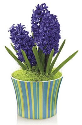 Bounty of Spring Planter