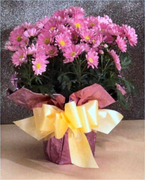 Blooming Basket