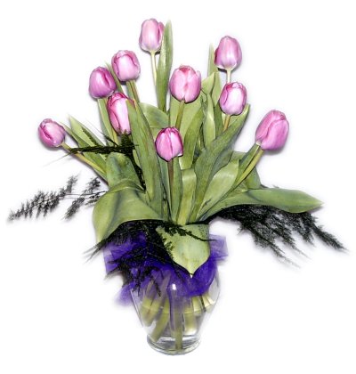Spring Tulips