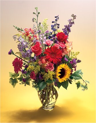 Color Burst