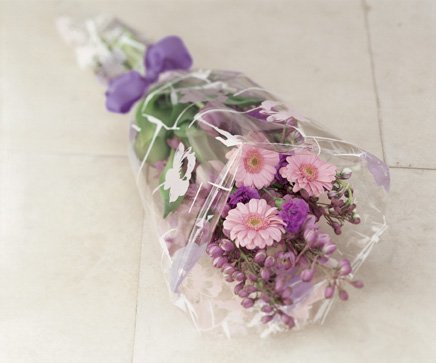 Wallflower