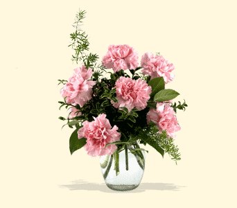 Pink 'n Pretty