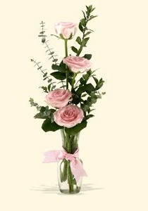Rose Quartet
