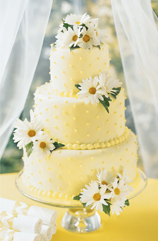 Daisy Delight