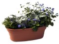 Outdoor Planter